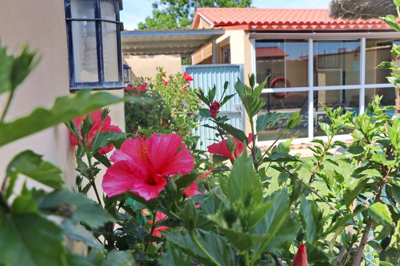 Bungalow Curro Pareja 97 Conil De La Frontera Dış mekan fotoğraf